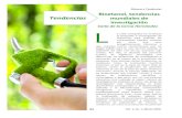 Bioetanol, tendencias mundiales de investigación