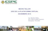 Micro tallrer_Uso aula virtual