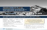 SolidQ Flex Services
