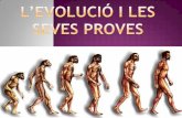 L’evolució i les seves proves