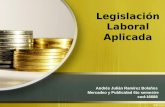 Actividad No 1: Presentación legislación laboral, Principios y Mecanismos de garantía"