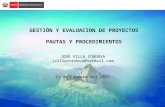 Gestión y Evaluación de Proyectos: Pautas y Procedimientos
