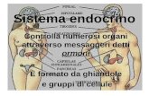 D9 sistema endocrino
