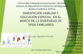 ORIENTACIÓN FAMILIAR Y EDUCACIÓN ESPECIAL  EN EL MARCO DE LA DIVERSIDAD DE TIPOS FAMILIARES: