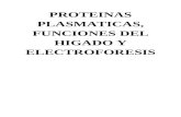 PROTEINAS PLASMATICAS, FUNCIONES DEL HIGADO Y ELECTROFORESIS