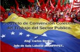 Convención Colectiva del Trabajo del Sector Publico.