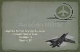 Aviacion militar