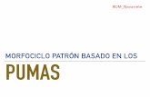 Periodización Táctica: Morfociclo Patrón - Pumas UNAM