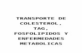 TRANSPORTE DE COLESTEROL, TAG, FOSFOLIPIDOS Y ENFERMEDADES METABOLICAS