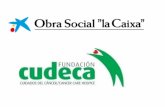Programa de Atencion Integral Obra Social La Caixa y Fundación Cudeca