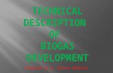 Byrav's - Biogas Presentation