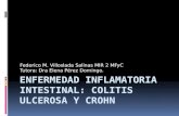 Enfermedad inflamatoria intestinal, colitis ulcerosa y crohn