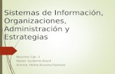 Sistema de informacion organizacion y estrategia presentacion cap 3