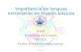Importancia de lenguas extranjeras en niveles básicos