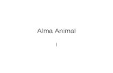 Alma animal