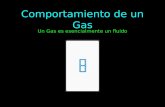 Comportamiento gas