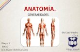 Generalidades anatomía.
