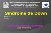 SINDROME DE DOWN / TRISOMIA 21