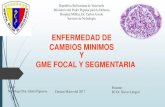 enfermedad de Cambios minimos y glomerulopatia focal y segmentaria