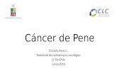 Cancer de pene 2016