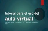 Tutorial Acceso Aula Virtual 2017