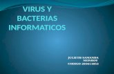 Virus y bacterias informaticos