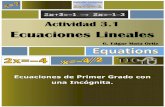 Activity 3 1 linear equations