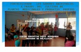 Presentacion de diapositivas para socializacion proyecto pedagogico francy