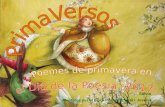PrimaVersos - Día MUndial Poesía, 2017
