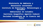 Estado actual del marco legal e institucional para el manejo sostenible del suelo en América latina y el caribe, Colombia