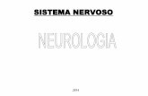 Sistema nervoso-2014-