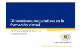 Dimensiones cooperativas en la formación virtual