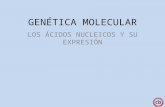 Genetica molecular Español