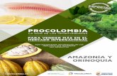 ProColombia guía de oportunidades Amazonía y Orinoquía