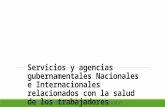 Servicios y Agencias Gubernamentales Nacionales e Internacionales relacionados con la Salud de los Trabajadores.