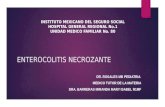 Enterocolitis necrozante2