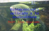 Biotecnología aplicada a la acuicultura.