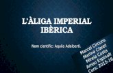 Àliga imperial ibèrica
