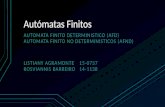 Automatas Finitos Deterministicos y No Deterministicos