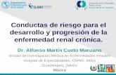 Conductas de Riesgo para el Manejo y Progresion de la enfermedad renal cronica