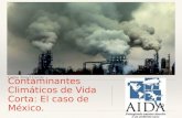 Contaminantes climáticos de vida corta: El caso de México