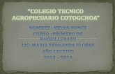 Colegio tecnico agropecuario cotogchoa bullying 1