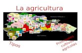 La agricultura,  tipos y principales cultivos en la República Dominicana