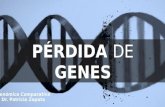 P©rdidade genes