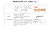 Cuadro sinóptico membrana plasmática