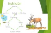 Nutrición Heterótrofa