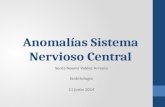 Anomalías del Sistema Nervioso Central - Embriología