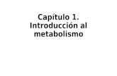 Capítulo 1. introducción al metabolismo
