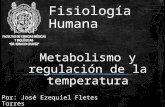 Metabolismo Fisiologia Humana
