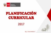 Planificación Curricular en las Instituciones Educativas 2017  ccesa007
